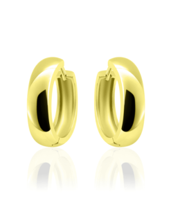 Creolen Zilver - Goudkleurig - Breedte 5 MM - Diameter 22 MM