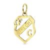 FC Utrecht Hanger 14 Karaat Geelgoud - MEDIUM - Breedte 1.5 CM - Lengte 2 CM